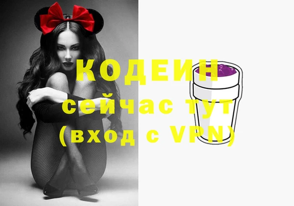 гидра Богородицк