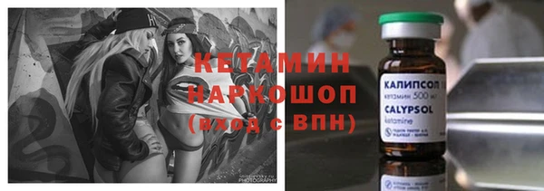 гидра Богородицк