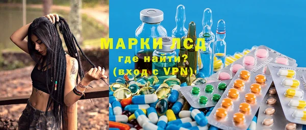 гидра Богородицк