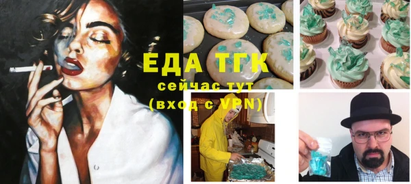 гидра Богородицк