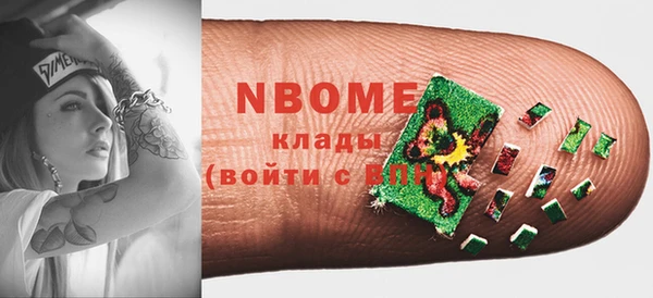 гидра Богородицк