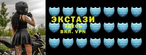 гидра Богородицк