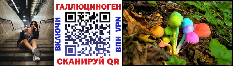 Псилоцибиновые грибы ЛСД  МЕГА ССЫЛКА  Игра  сколько стоит 