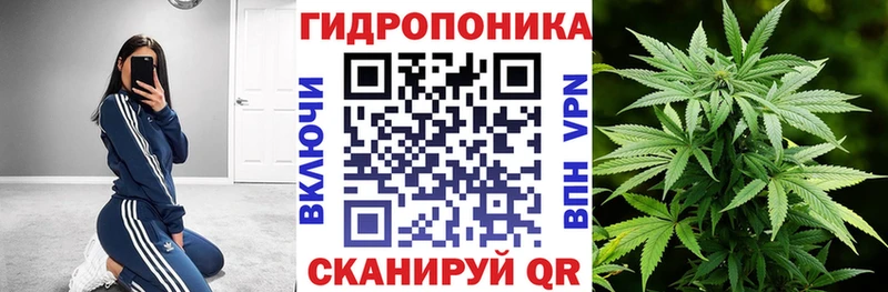 как найти закладки сайты даркнета Telegram мега ONION Бошки марихуана гибрид Игра